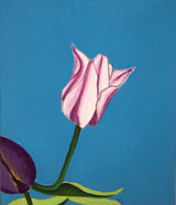 Spring Tulip